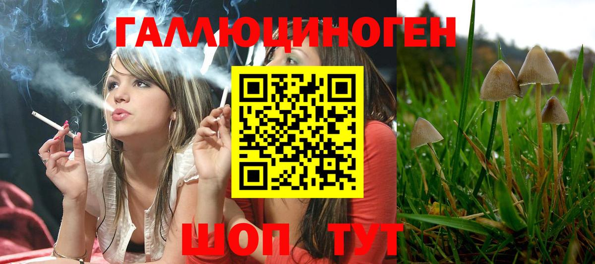 Галлюциногенные грибы Cubensis Вышний Волочёк