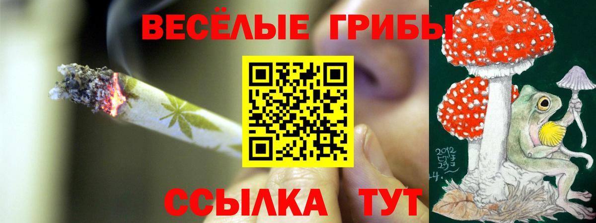 Вышний Волочёк  Галлюциногенные грибы ЛСД  Галлюциногенные грибы мицелий  Вход с VPN 